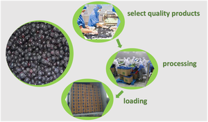Bleuets <span class=keywords><strong>sauvages</strong></span> surgelés IQF en vrac-Riches en antioxydants Bleuets surgelés - Product Image 6