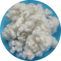Matériel de remplissage en fibre de polyester 15d, 64mm, recyclage hcs