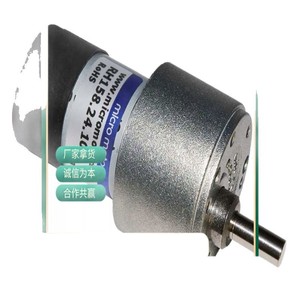 Moteurs miniatures BL192-18, moteur DC miniature, Italie, 36V, avec fils de connexion, type de montage - Product Image 2