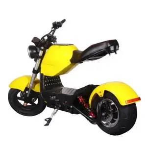 [Ab stok] iyi su geçirmez 10 inç elektrikli scooter büyük çift koltuklu yüksek performanslı EB-C1 elektrikli scooter