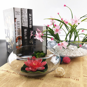 Atacado moderno de grande diâmetro vaso de vidro transparente Narciso pote Hidropônico pennywort tigela Lotus tigela - Product Image 1