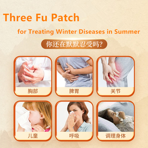 1 Caixa de Essência TCM para Saúde e Bem-Estar, Patch Três Fu para Tratamento de Doenças de Inverno no Verão com Hortelã-Pimenta de Henan - Product Image 3
