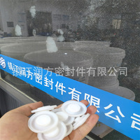Plaque de pompe à membrane PTFE, F4,