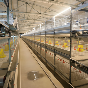 Nuevo Sistema de Control de Humedad Multicapa Tipo H, Fácil de Operar, con 5 Años de Garantía, para Áreas Secas Interiores, Cómodo para Pollos de Engorde - Product Image 1