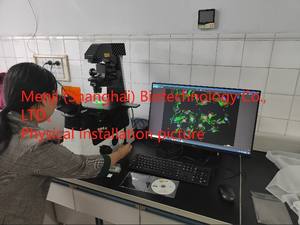 माइक्रोस्कोप सेल कल्चर माइक्रोस्कोप nk Ti2-U - Product Image 2