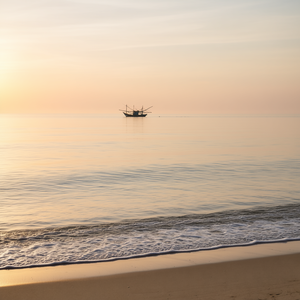 Maglietta da pesca a maniche lunghe con disegno di pesce per pescatori Modello A10677 - Product Image 2