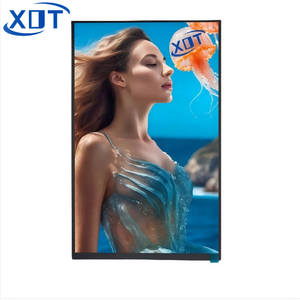 Pantalla LCD TFT de 10,1 Pulgadas BOE 800*1280 con Controlador ILI9881C, Interfaz Mipi de 31 Pines, Retroiluminación LED, Brillo de 350cd/m, 10.1 - Product Image 3