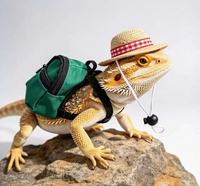 Kit d'accessoires 3-en-1 pour petits reptiles, mini skateboard, sac à dos et chapeau pour déguisement de papillon, hamster, lézard
