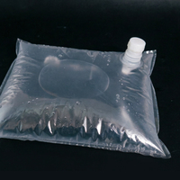 Sac BIB de qualité alimentaire 22L transparent, sac aseptique pour liquides avec bec verseur, anti-fuite, bouchon refermable pour jus de fruits