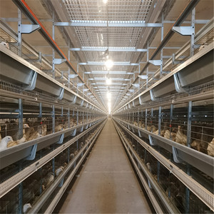 New Gia Cầm Trang Trại Tự Động H Loại Thép Gà Lồng Cho Lớp Gà Và Sản Xuất Trứng - Product Image 3