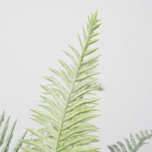 High-Quality <b>Artificial</b> Fern - Fireproof Potted Grammitis Intromissa Decor - Product Image 5