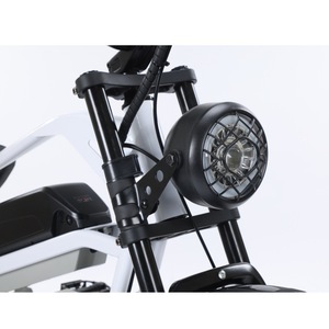 Bicicletta Elettrica <span class=keywords><strong>E</strong></span>-bike a Consegna Rapida, 48V 250W, Doppi Motori, 7 Velocità, Ruote Fat da 20 Pollici - Product Image 4