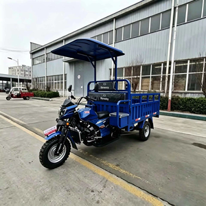 Nuevo Estilo de Triciclo Motorizado a Gasolina, <span class=keywords><strong>Motocicleta</strong></span> Popular para Adultos de 200CC <span class=keywords><strong>2500CC</strong></span>, Triciclo de Carga a Gasolina en Venta - Product Image 1