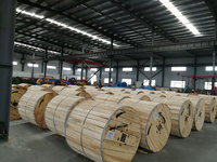Typ A B C En50228-7 Kabel LSZH 1 2 3 5 6 Paar 0,75mm² Abgeschirmte Instrumentenkabel
