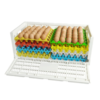 Caisse en plastique pliable YUBO pour plateaux à œufs, caisses de rangement en plastique ventilées, caisses en plastique pliantes