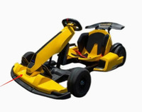Châssis de kart électrique rotomoulé avec télécommande