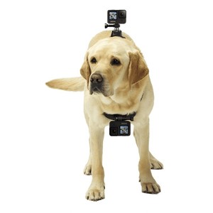 Harnais de fixation réglable pour caméra GoPro, sangle de poitrine, support de fixation pour caméra GoPro <span class=keywords><strong>Hero</strong></span> 13 12 11 10 11 9 <span class=keywords><strong>8</strong></span>, accessoires - Product Image 6