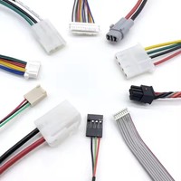 Konektor Kabel Betina Pa66 Pitch 2.5mm Asli, Kabel Harness Perakitan Adaptor JST XH 2-4 Pin Kustom untuk Elektronik Otomotif