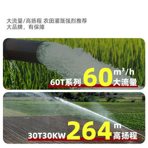 6SP All Stainless Steel Deep Well Pump 380V 1 In Flange Centrifugal Submersible For Well Water Seawater - Product Image 2