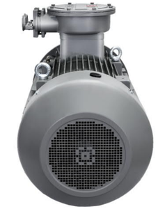 Moteurs asynchrones triphasés Innomotics 1MB0063 BT4 anti-explosion et anti-feu Atex 50Hz IP55 IC411 - Product Image 4