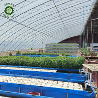 Serre de serre agricole/commerciale Système aquaponique PVC-U canal/tuyaux hydroponiques NFT pour la laitue et la pisciculture