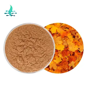 Factory Supplies 10:1 20:1 30:1 Maple Leaf Extract Powder