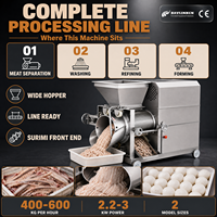 Désarêteuse Automatique à Poisson Acier Inoxydable 304 Large Trémie d'Alimentation pour Poisson-chat Tilapia Usine de Surimi