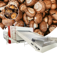 Shiitake-paddenstoelenbanddroger, voedselbanddroger, grote capaciteit gaasbanddroger, shiitake-paddenstoelen gaasbanddroogapparatuur