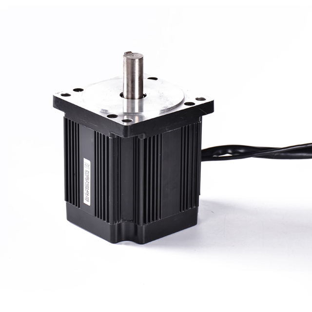 Brushless 220v Dc Motor with Speed Control