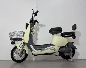 New Arrivals Japan Used Electric Bicycle E City Bikes 2 Seater E Bike 500W 800W Scooter Bike With Pedals Motorcycle Bicycle