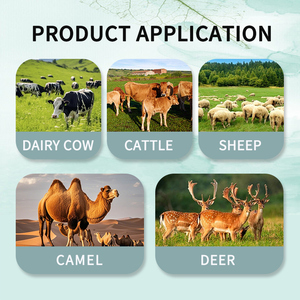 Tasa de conversión de nitrógeno mejorada, aditivo alimenticio, clorhidrato de L-lisina para rumiantes, previene la premezcla de alimentos mixtos de hígado graso - Product Image 5