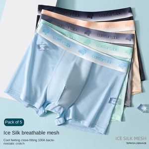 Direkt vom Hersteller: Atmungsaktive Mesh-Boxershorts für Herren, Eisseide-Unterwäsche, Antibakteriell, Mittelhoher Bund, Gestricktes Logo, 4XL - Product Image 5