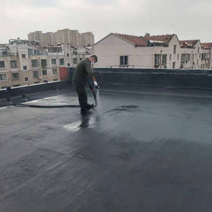 Revestimiento impermeable de poliurea en aerosol de sustrato de hormigón de fábrica al mejor precio para la construcción de techos/paredes exteriores - Product Image 4