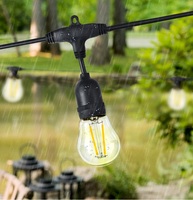 Haute qualité 15m/48FT usine décorative LED guirlande lumineuse de noël S14 LED ampoules à Filament IP67 jardin plastique cuivre verre PC