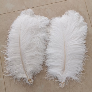 55-60Cm Plumas De Avestruz Số Lượng Lớn Màu Trắng Cực Lớn Lễ Hội Đà Điểu Cánh Lông Lông Chùm Cho Đảng Đám Cưới Trang Trí Sân Khấu - Product Image 5