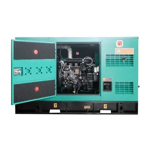 Yangdong Engine YSD490D 60 Hz 24 KW 30 KVA Diesel Generator Diesel Generators for Sale