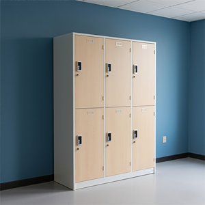 New Waterproof Eco-Friendly Fireproof Sports Anti-Betal Plate Z-shaped 12mm Thick Modern Outdoor <b>Storage</b> Cabinet Hospitals B - Product Image 4