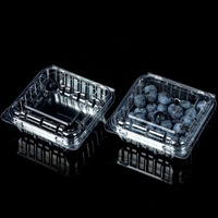 Kleine Doorzichtige Plastic Bosbessen Fruit Verpakking 125 Gram Bosbessen Clamshell Bosbessen Container Doos