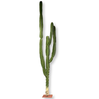 Grand Cactus de 3.2 mètres de haut, plante du désert avec haute simulation et sensation tactile réaliste, pilier immortel