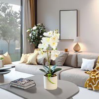 Usine directe Phalaenopsis bonsaï fleur artificielle doux naturel réel toucher décoration de la maison à vendre
