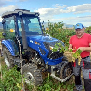 Tractor de Ruedas con Motor de 70HP 4X4 y Mini Remolque para Uso en Jardín y Granja, Disponible para la Venta - Product Image 2
