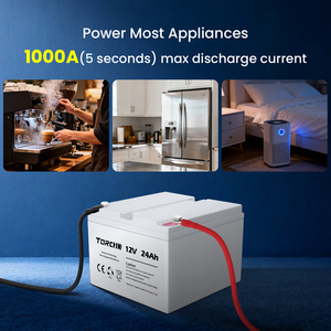 En stock Batterie au plomb 12V 24Ah pour stockage d'énergie solaire domestique Batterie portable Vente en gros - Product Image 4