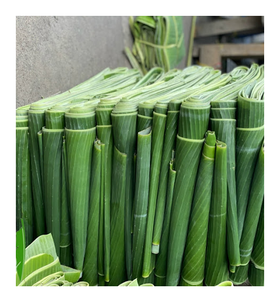Vietnam <b>Banana</b> Leaves Great Quality <b>Fresh</b> <b>Banana</b> Leaf 100% Natural Good Quality for Wrapping Food Ecofriendly for Export - Product Image 6