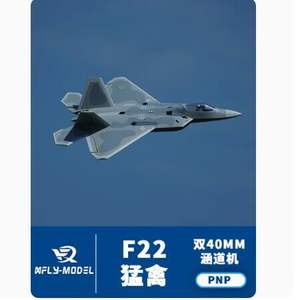 เครื่องบินบังคับวิทยุซุนเฟย - Product Image 1