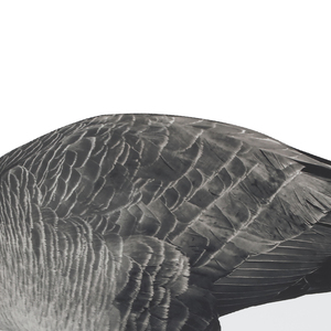 Richiamo per Caccia all'Oca delle Nevi Canadese Grigio in Plastica EVA Personalizzato OEM con Testa Floccata per Cacciatori di Oche Canadesi - Product Image 5