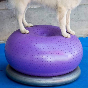 Point Massage Texture Thickened Anti Burst Professional <strong>Studio</strong> Practice Custom Stability Balance Performance PVC Donut Yoga Ball - Product Image 6