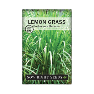 Graines de citronnelle Sow Right, non-OGM, variété ancienne, pour jardin, plantation facile en intérieur/extérieur, herbe culinaire délicieuse (1) - Product Image 1