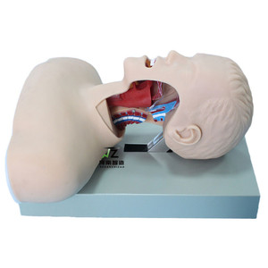 Modèle avancé d'intubation trachéale humaine adulte avec dispositif d'alarme - Product Image 1