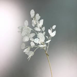 Vente en gros Décoration nordique moderne pour la maison <span class=keywords><strong>Lunaria</strong></span> artificielle à feuilles blanches Plante annuelle argentée pour mariage et Noël - Product Image 2