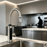Robinet d'eau chaude électrique instantané 3000W-3500W en acier inoxydable avec LED IPX4, autonome et économe en énergie pour cuisine, camping-car, hôtel, maison